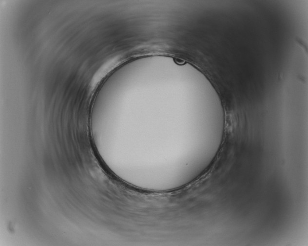 X0000103490004200809262001