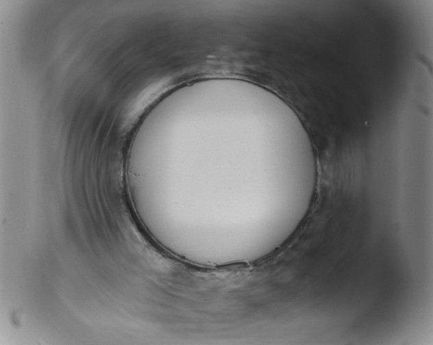 X0000103490005200809262001