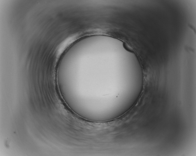 X0000103490006200809262001