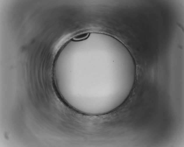 X0000103490007200809262001