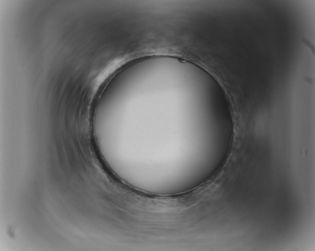 X0000103490008200809262001