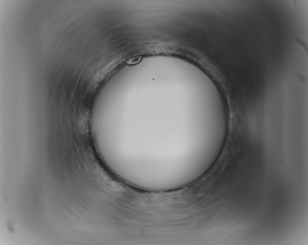 X0000103490009200809262001