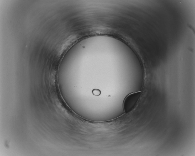 X0000103490010200809262001