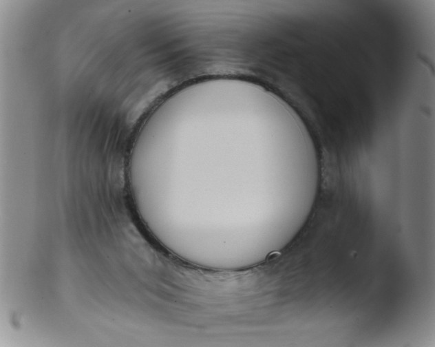 X0000103490015200809262001