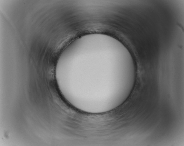 X0000103490017200809262001