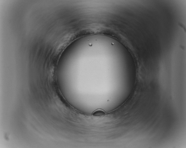 X0000103490018200809262001