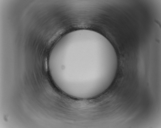 X0000103490020200809262001