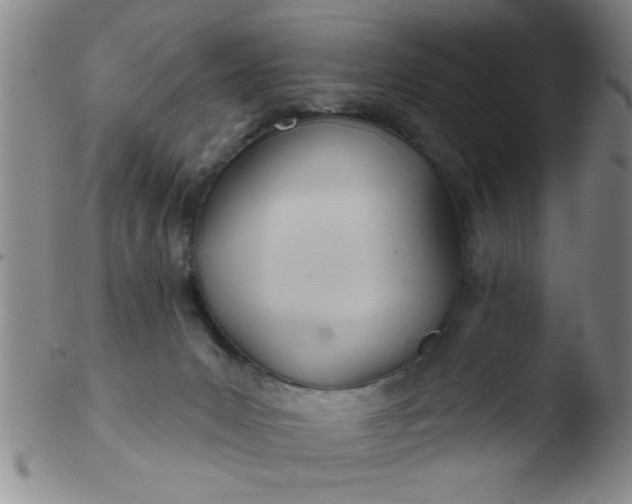 X0000103490031200809262000