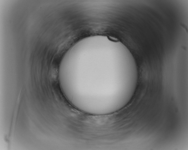 X0000103490033200809262000