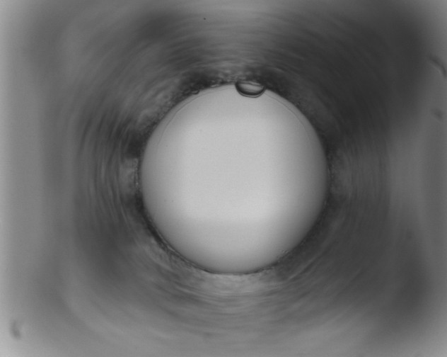 X0000103490034200809262000