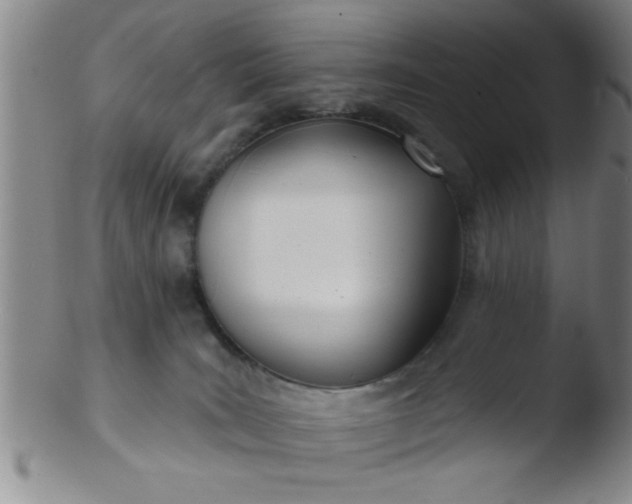 X0000103490035200809262000