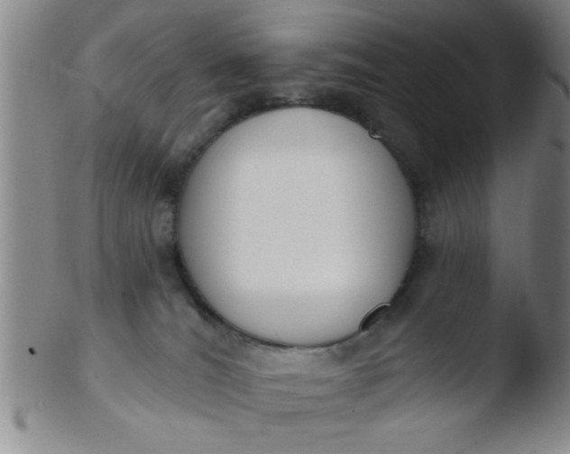 X0000103490036200809262000