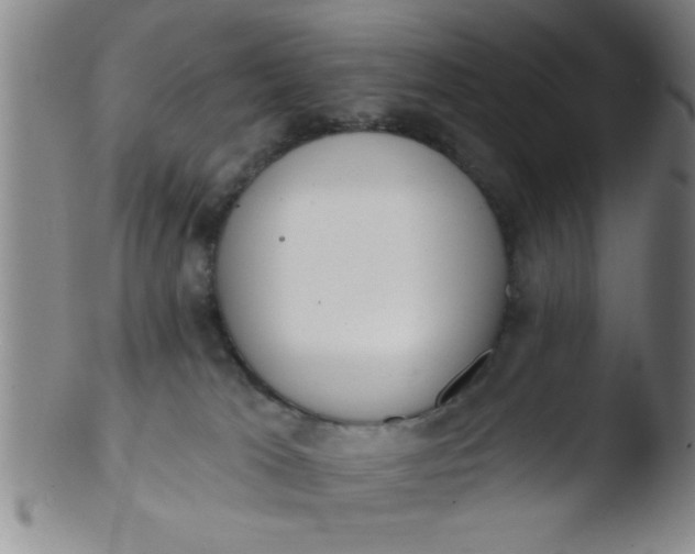 X0000103490037200809262000