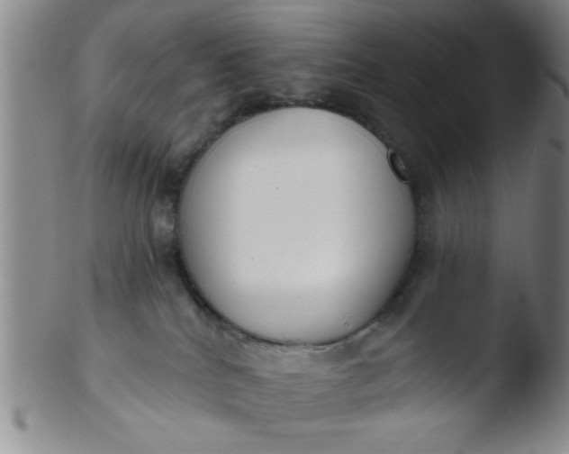 X0000103490040200809262000