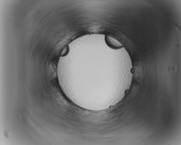 X0000103490043200809262000