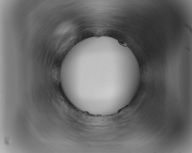 X0000103490044200809262000