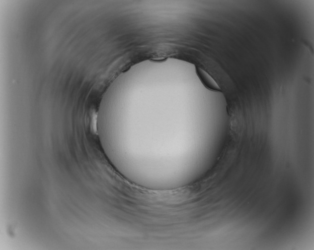 X0000103490046200809262000