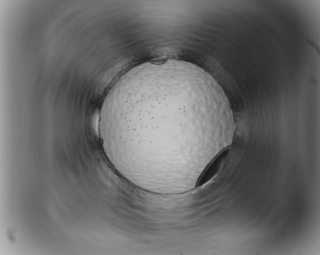 X0000103490047200809262000