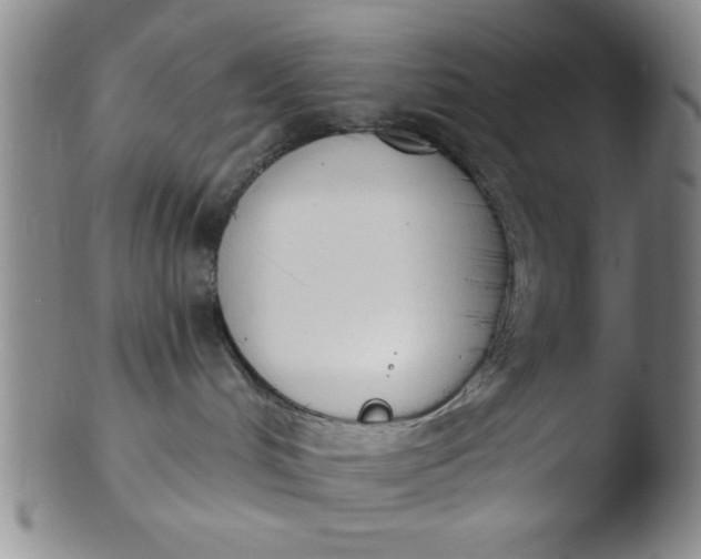 X0000103490048200809262000