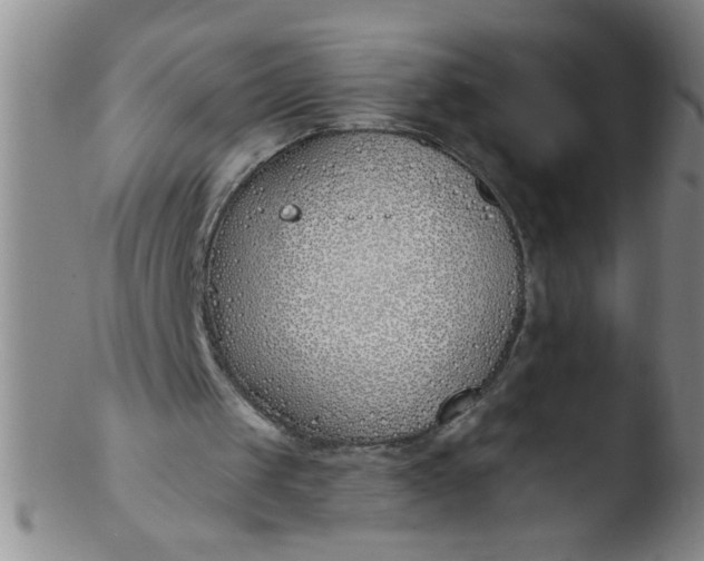 X0000103490049200809261959