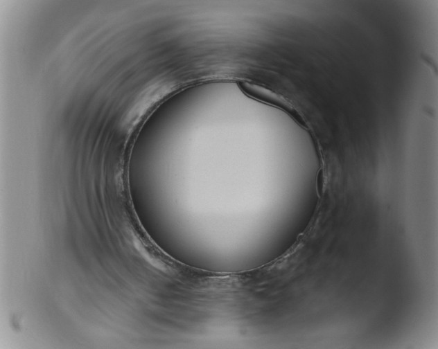 X0000103490050200809261959