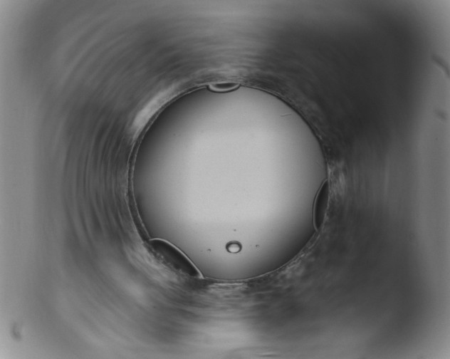 X0000103490051200809261959