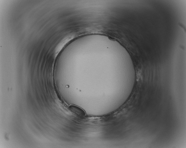 X0000103490052200809261959