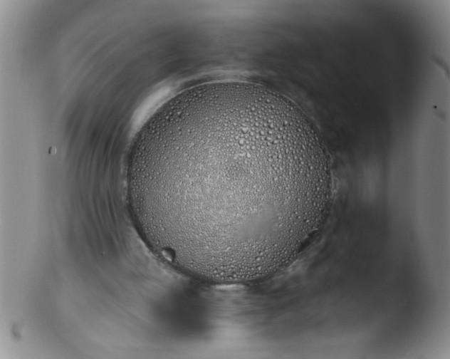 X0000103490053200809261959