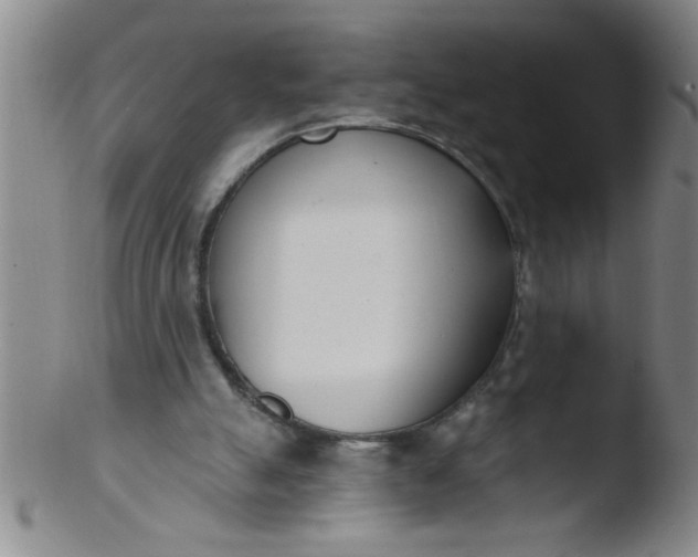 X0000103490055200809261959