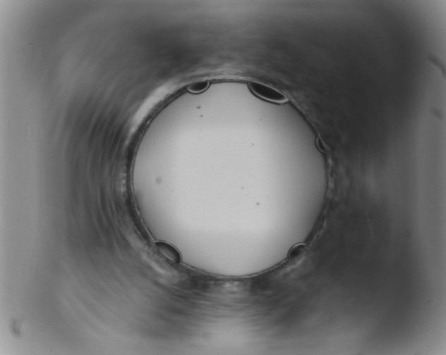 X0000103490056200809261959