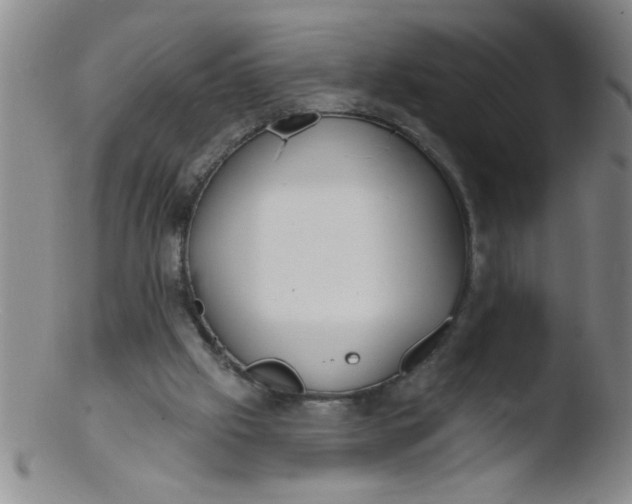 X0000103490057200809261959