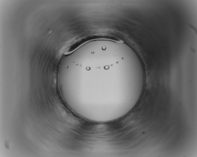 X0000103490059200809262000