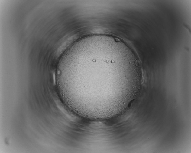 X0000103490061200809262000