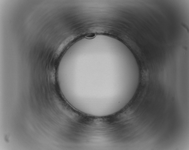 X0000103490064200809262000