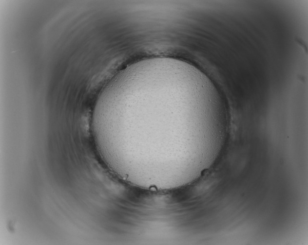 X0000103490065200809262000