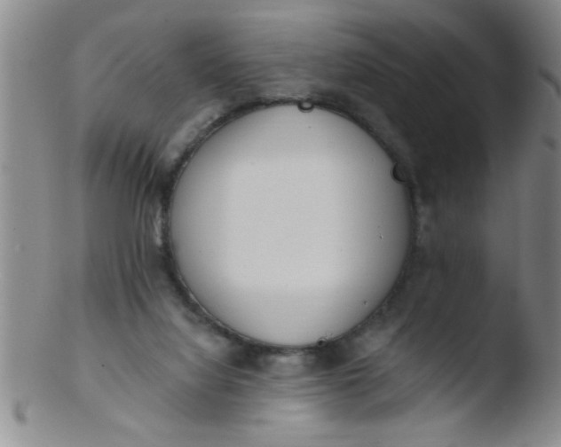 X0000103490068200809262000