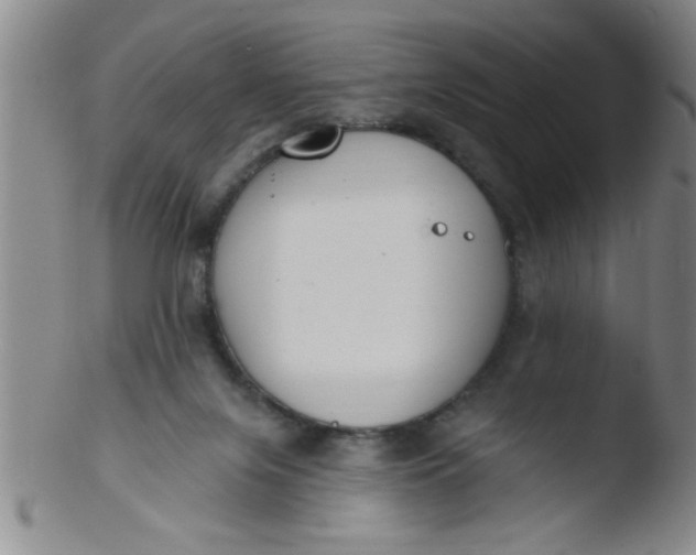 X0000103490071200809262000