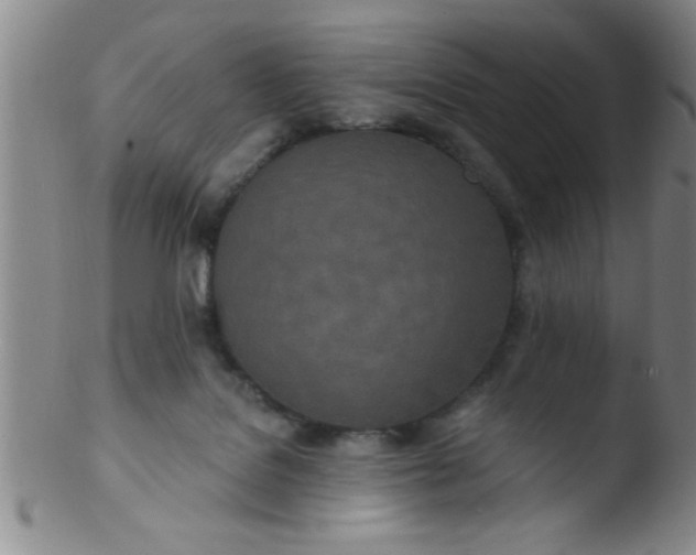 X0000103490076200809262000