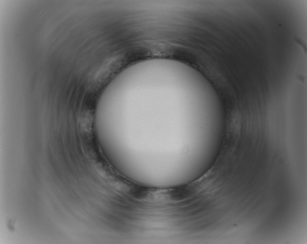 X0000103490078200809262000