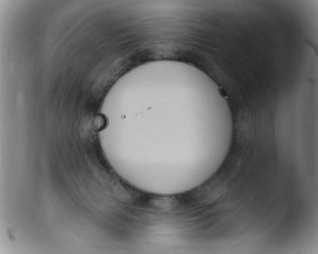 X0000103490079200809262000