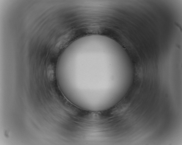 X0000103490080200809262000