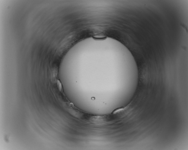 X0000103490082200809262000