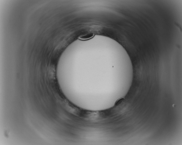 X0000103490083200809262000