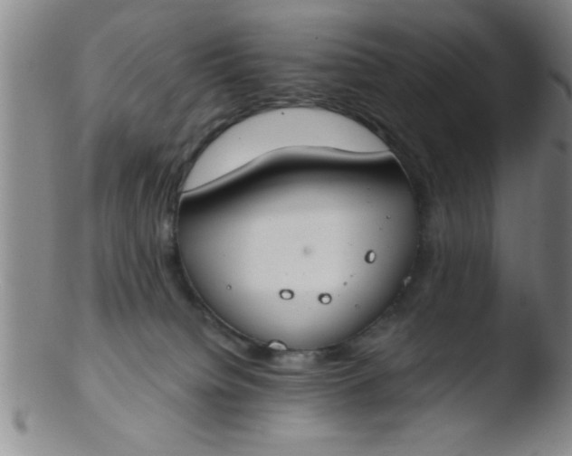 X0000103490084200809262000