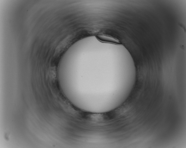 X0000103490085200809262000