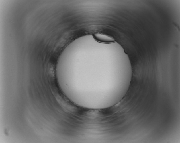 X0000103490086200809262000