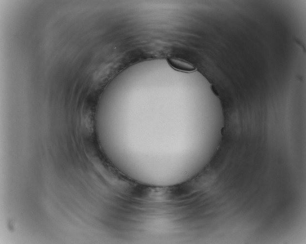 X0000103490088200809262000