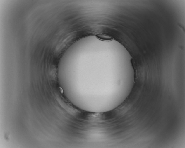 X0000103490092200809262000