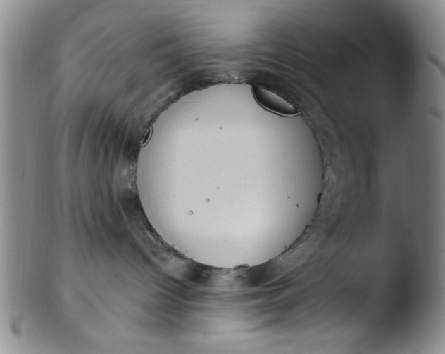 X0000103490096200809262000