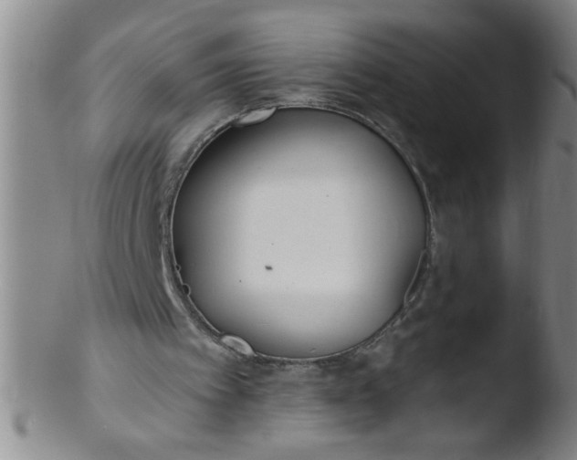 X0000103490097200809261959